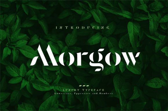 Morgow: A Display Font That Makes Small Business Branding Shine
