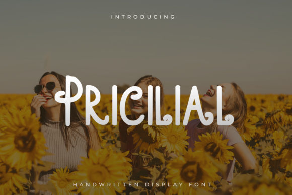 Pricilial Display Font: Casual Charm for Editorial Projects